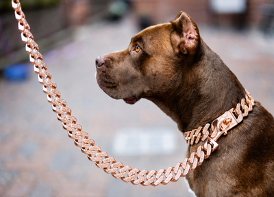 Miami Rose Gold Leash