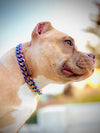 Multi Colour Choker