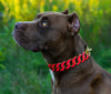 Gold Pink Glow Collar