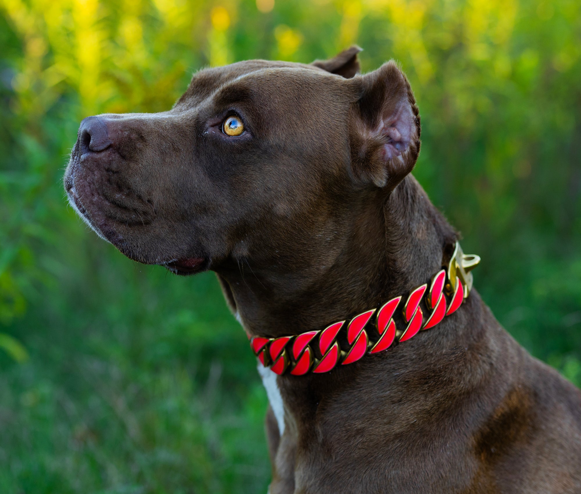Gold Pink Glow Collar
