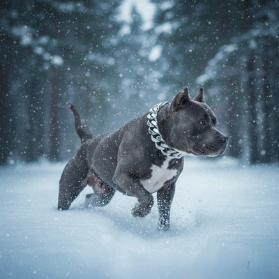 Silver Classic Collar