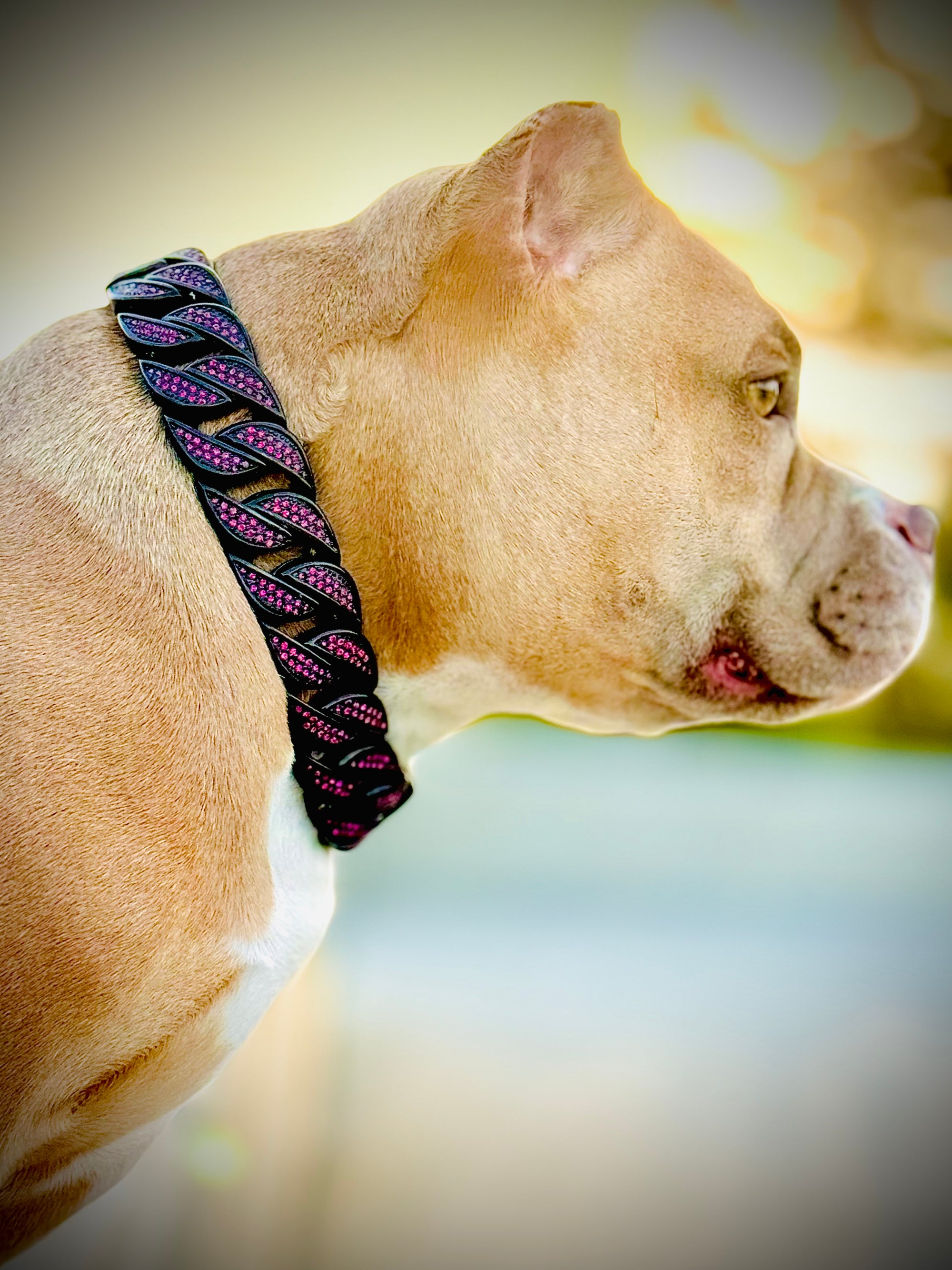 Black with Fuchsia Pink Stones