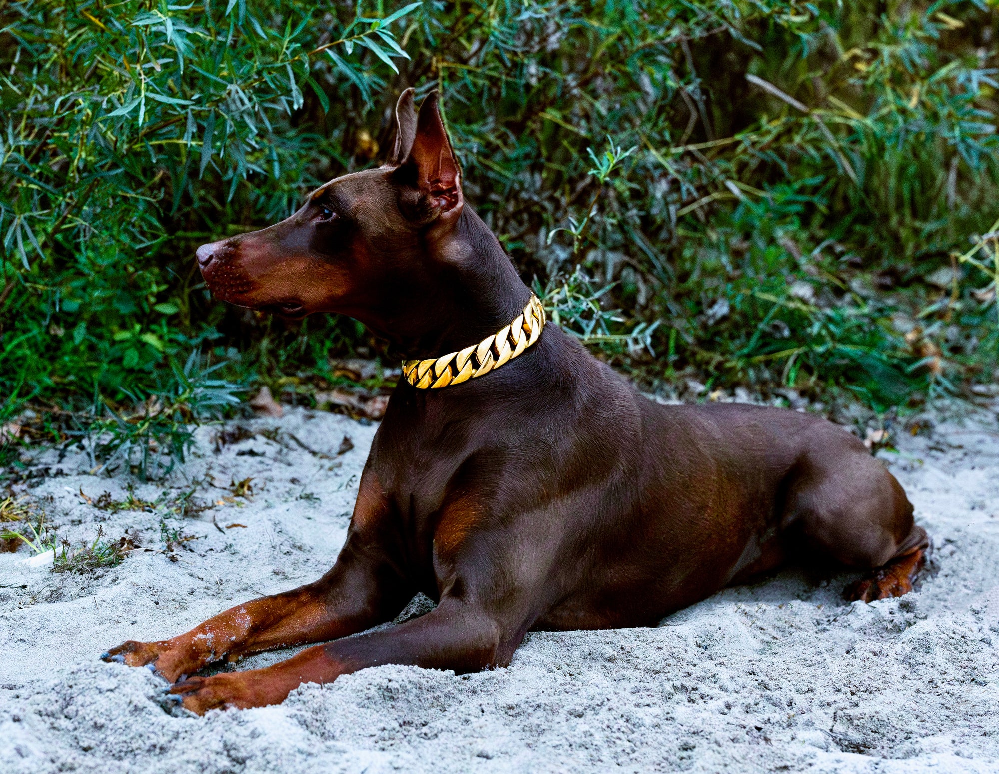 Gold Cuban Collar