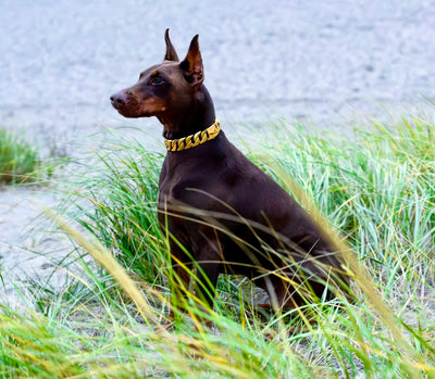 Gold Cuban Collar