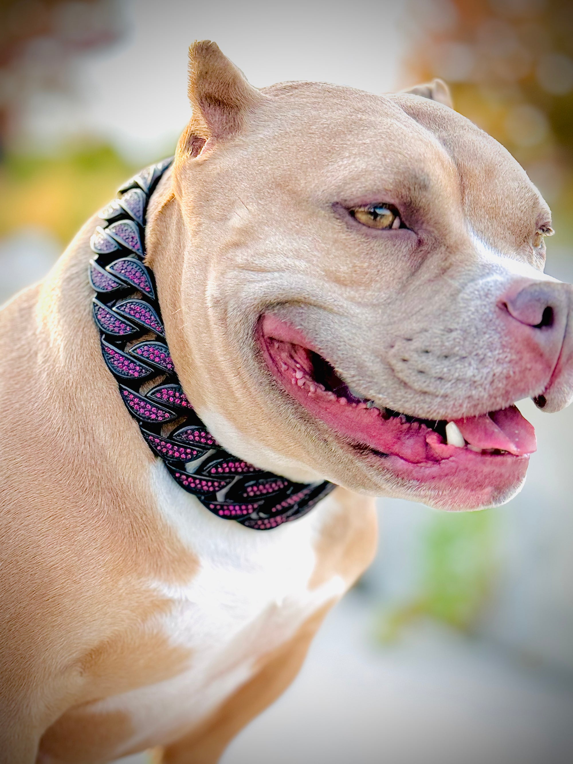 Black with Fuchsia Pink Stones