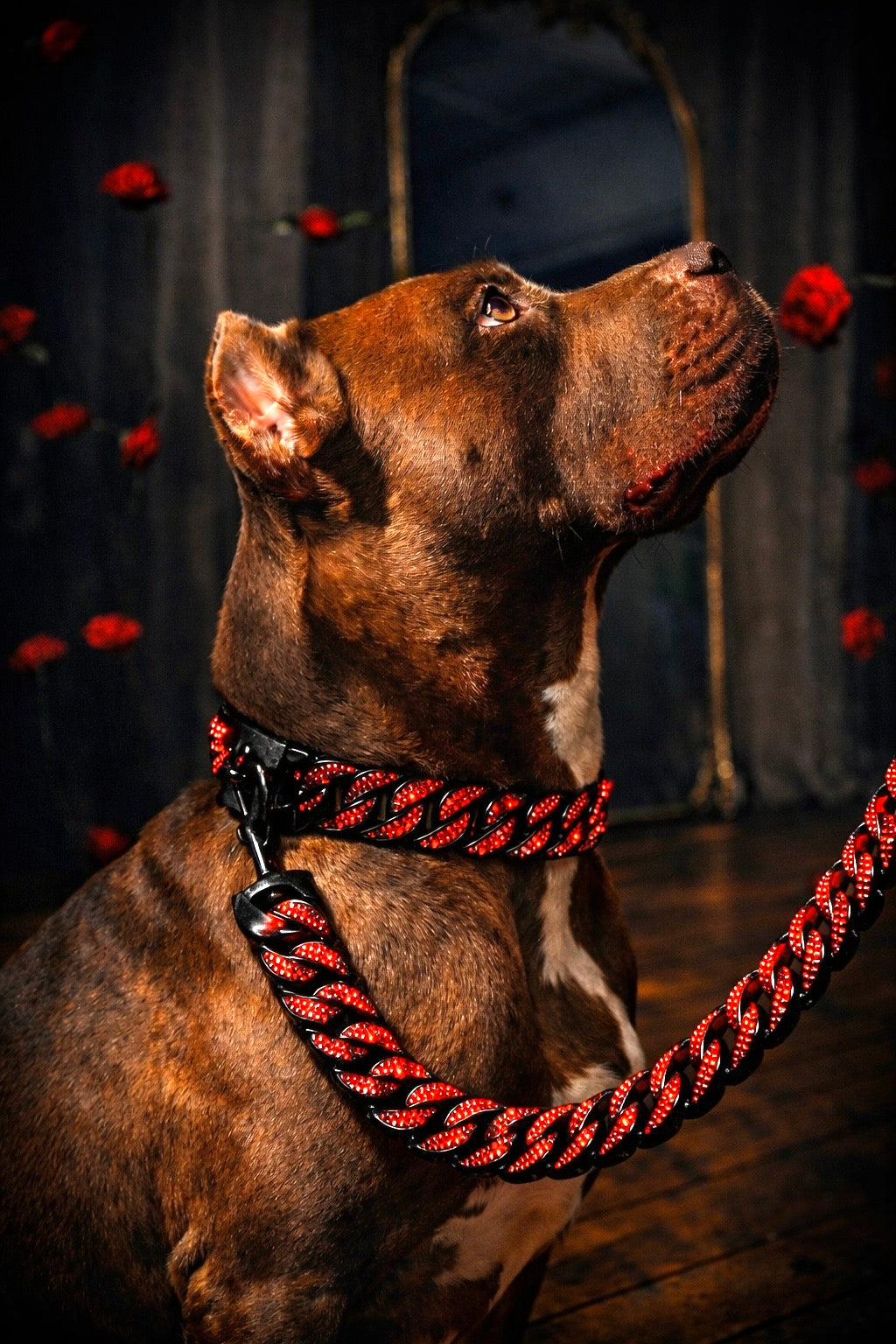 Black Red Studded Collar -The Anubis