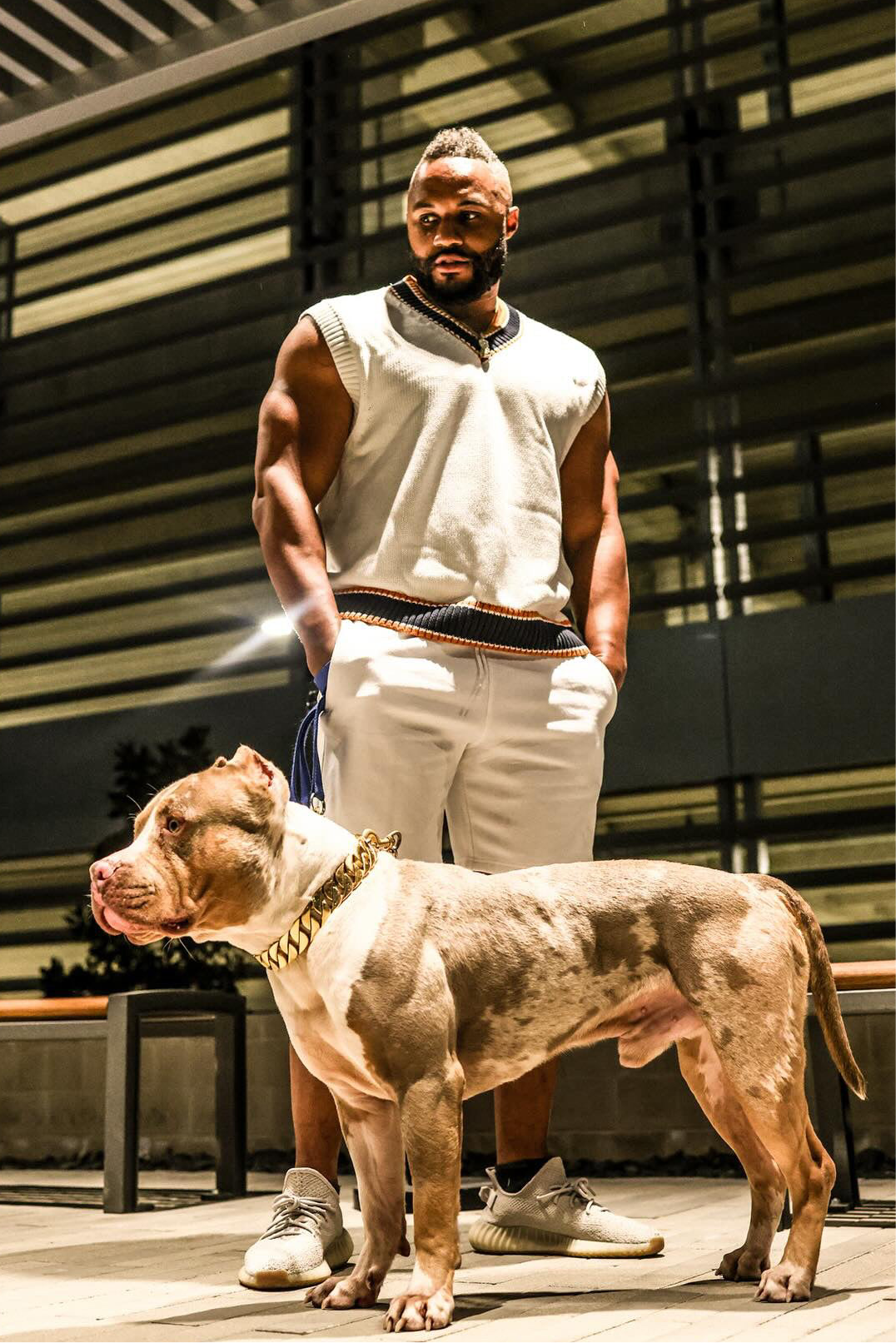 Gold Classic Cuban link Collar