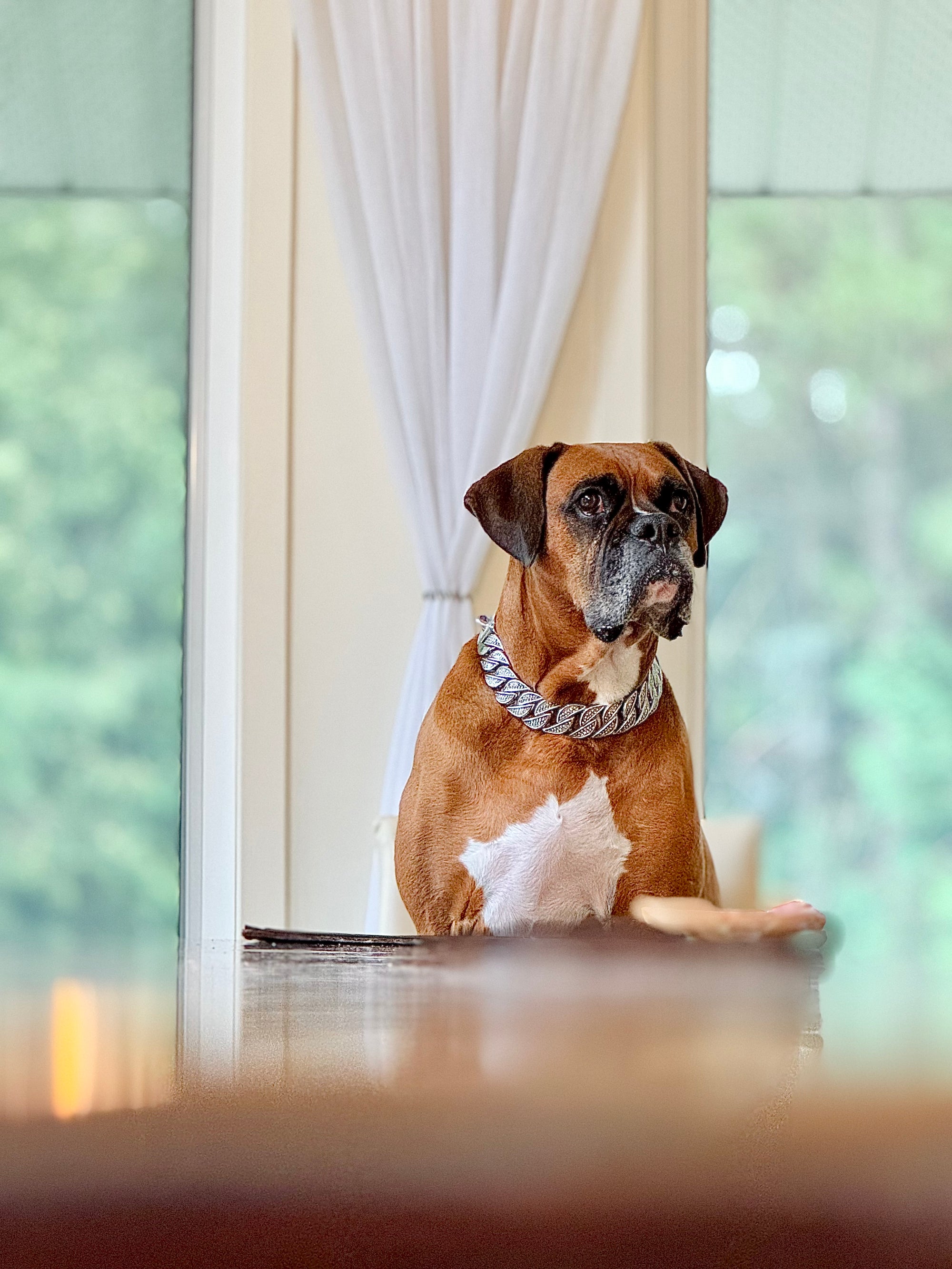 Silver Shine Collar