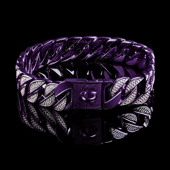 Purple Reign Studded Collar