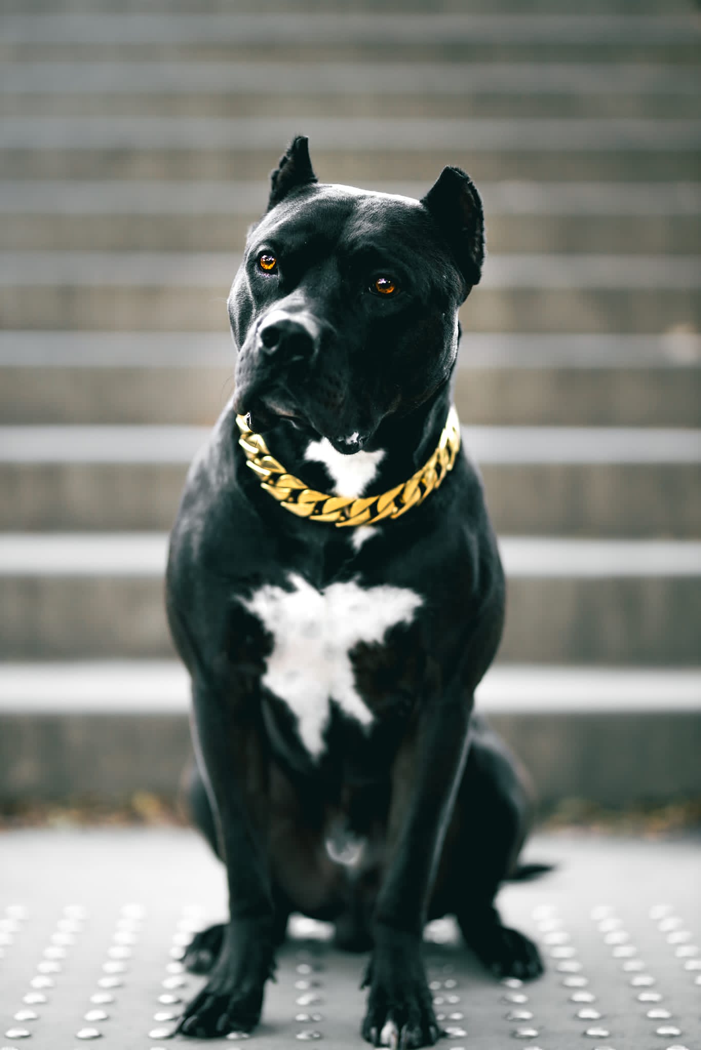 Gold Cuban Collar