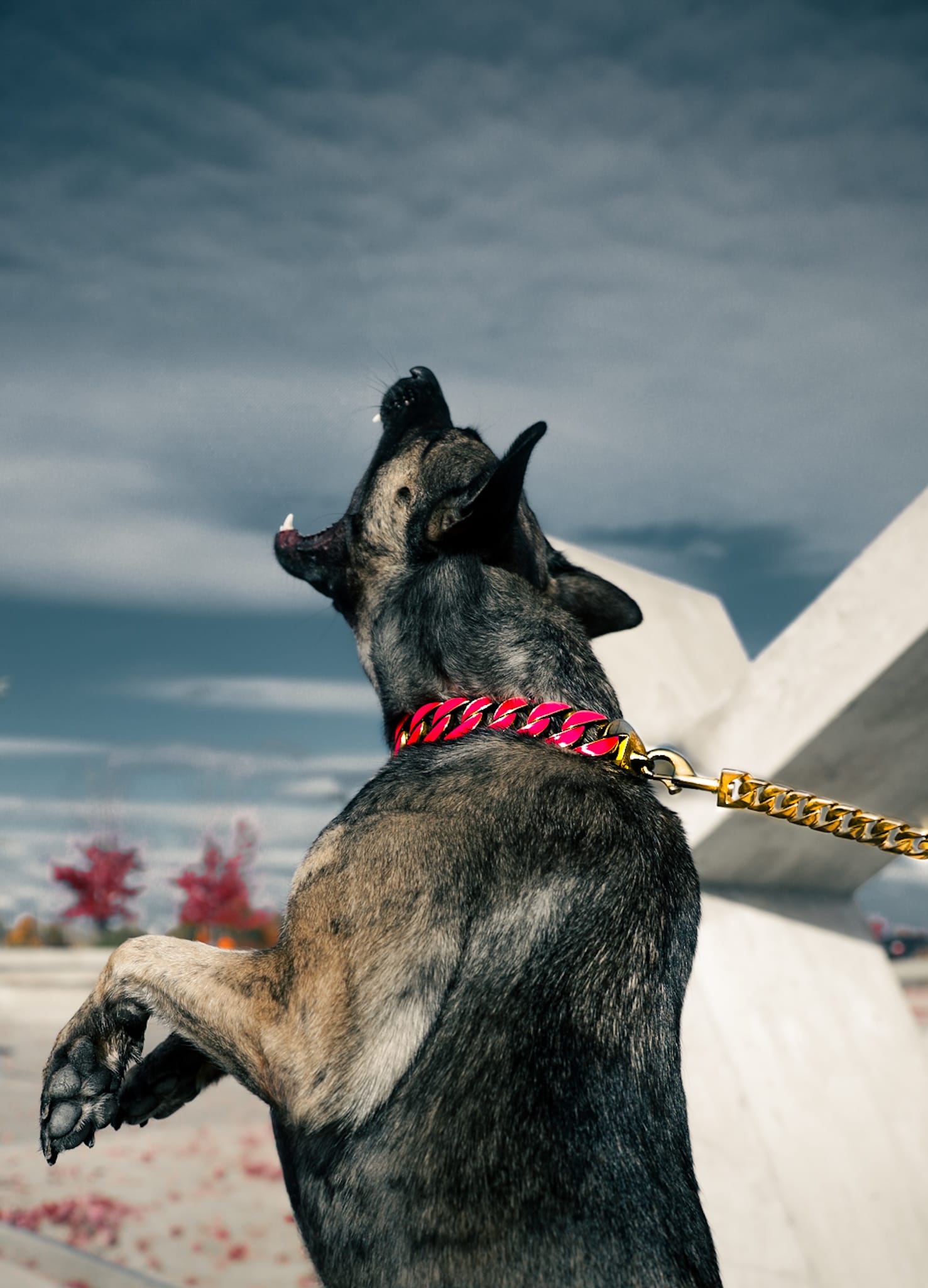 Gold Pink Glow Collar