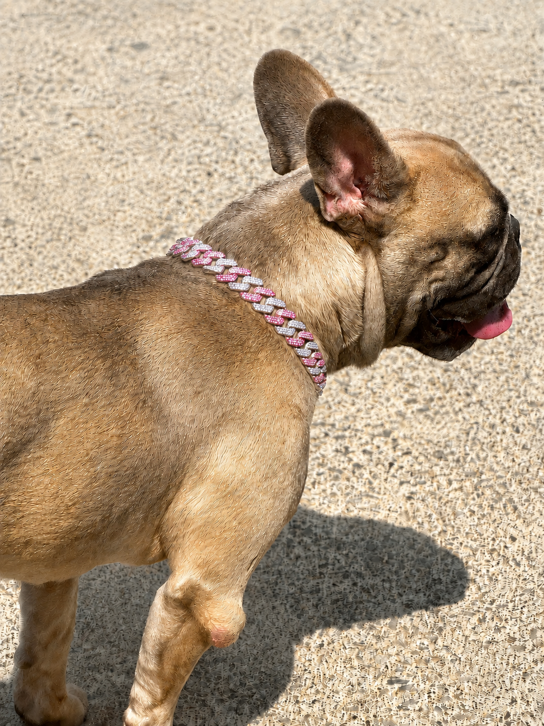 Silver and Pink Small Collar