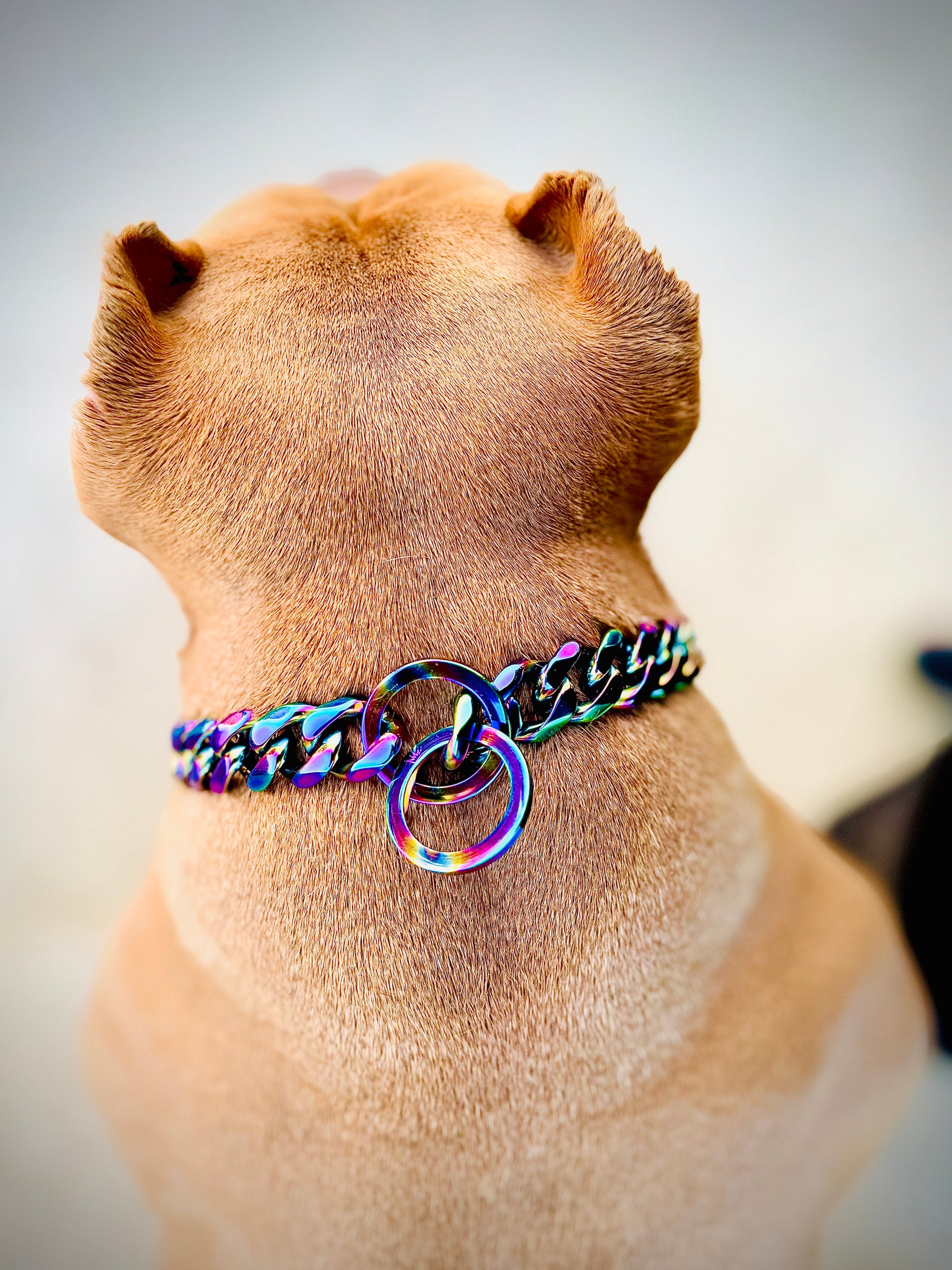 Multi Colour Choker