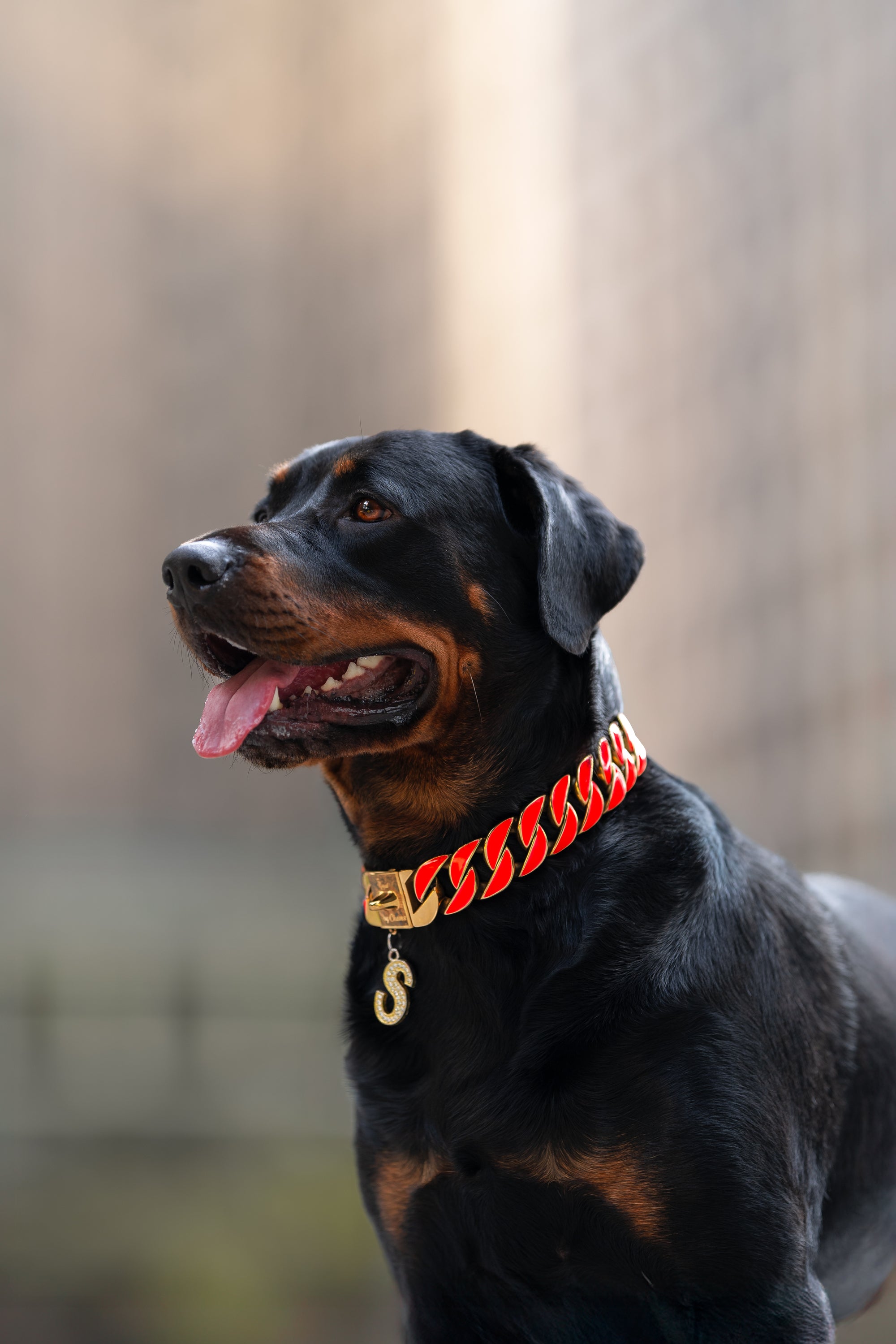 Gold Pink Glow Collar