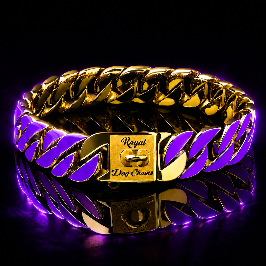 Gold Purple Glow Collar