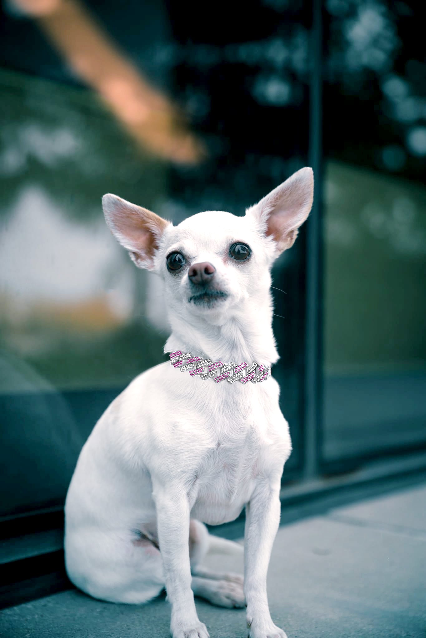 Petite Pink & Silver Chain