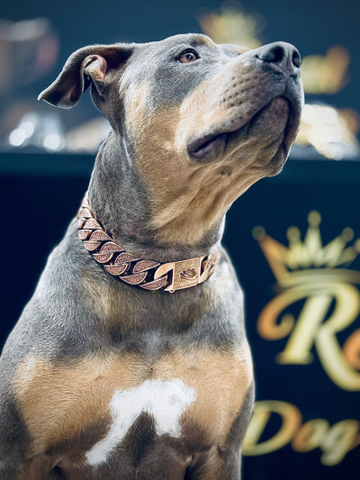 Rose Gold Pink Studded Collar
