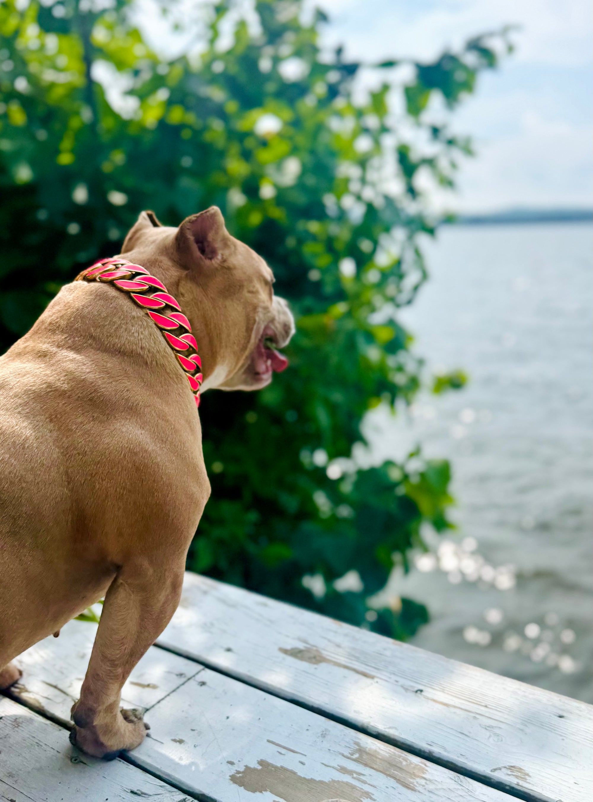 Gold Pink Glow Collar