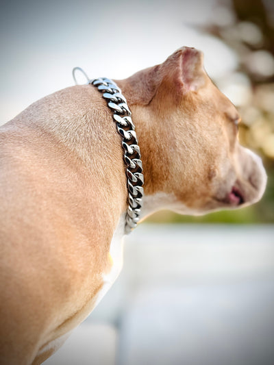 Silver Choker