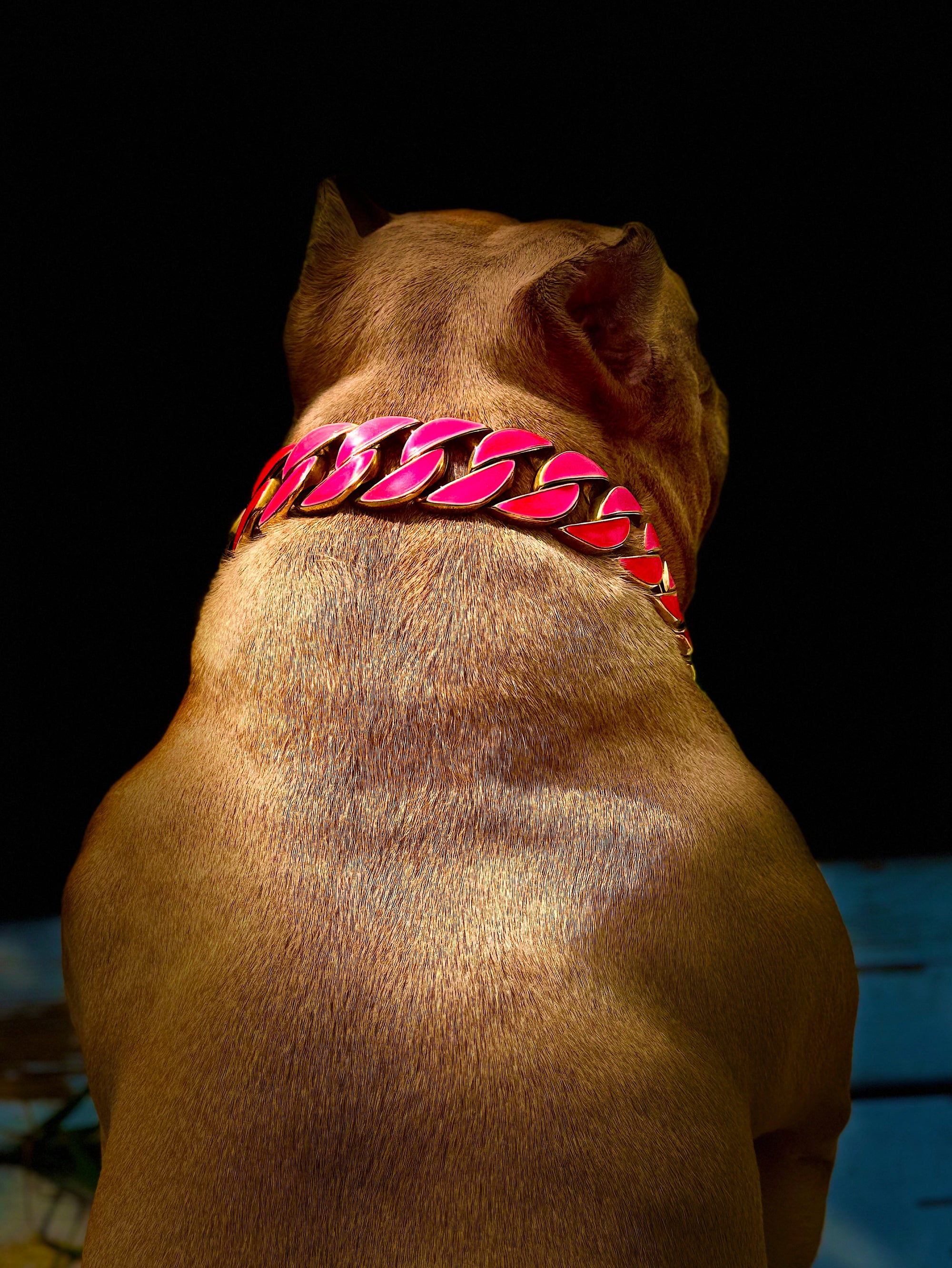 Gold Pink Glow Collar