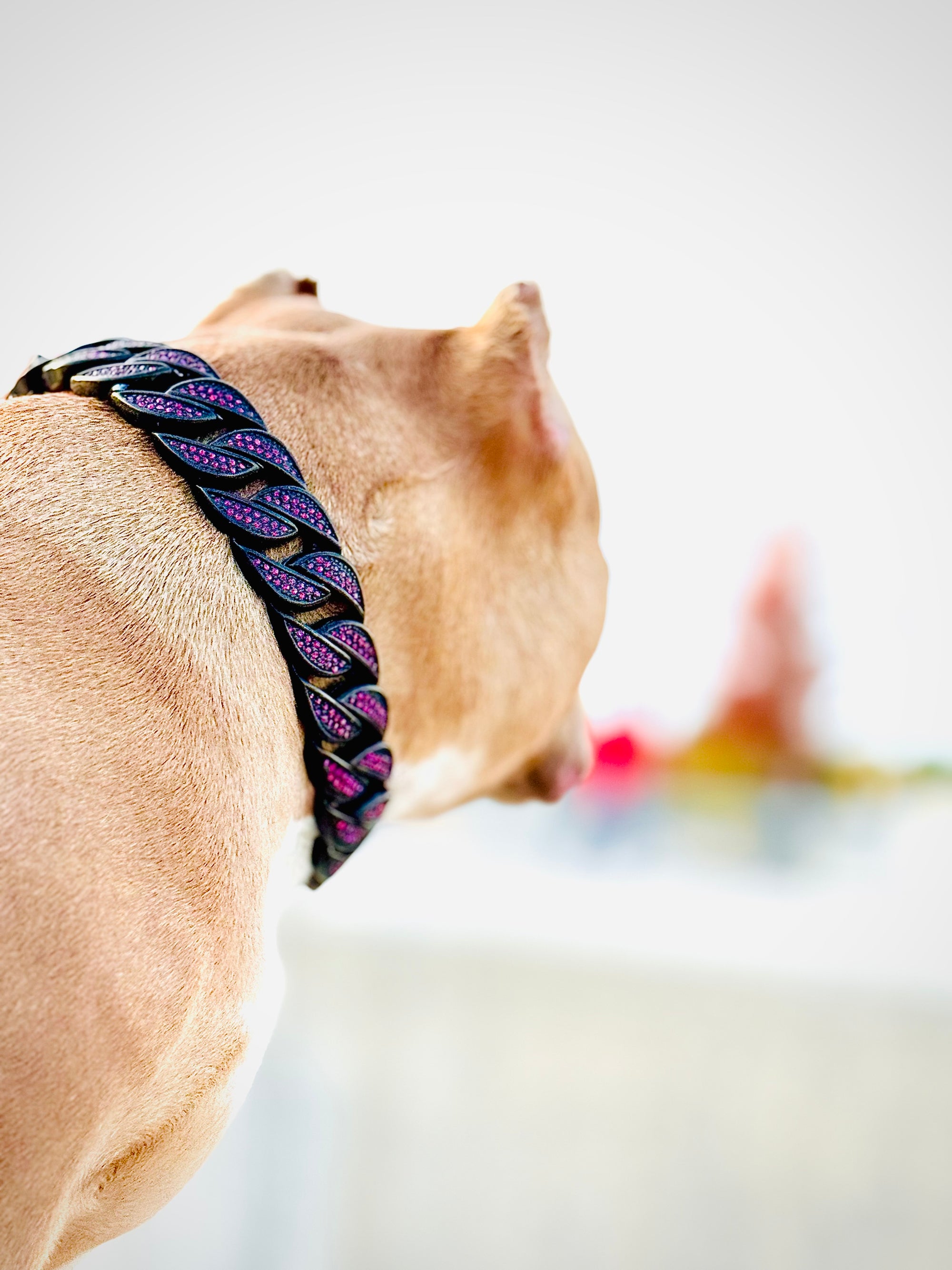Black with Fuchsia Pink Stones