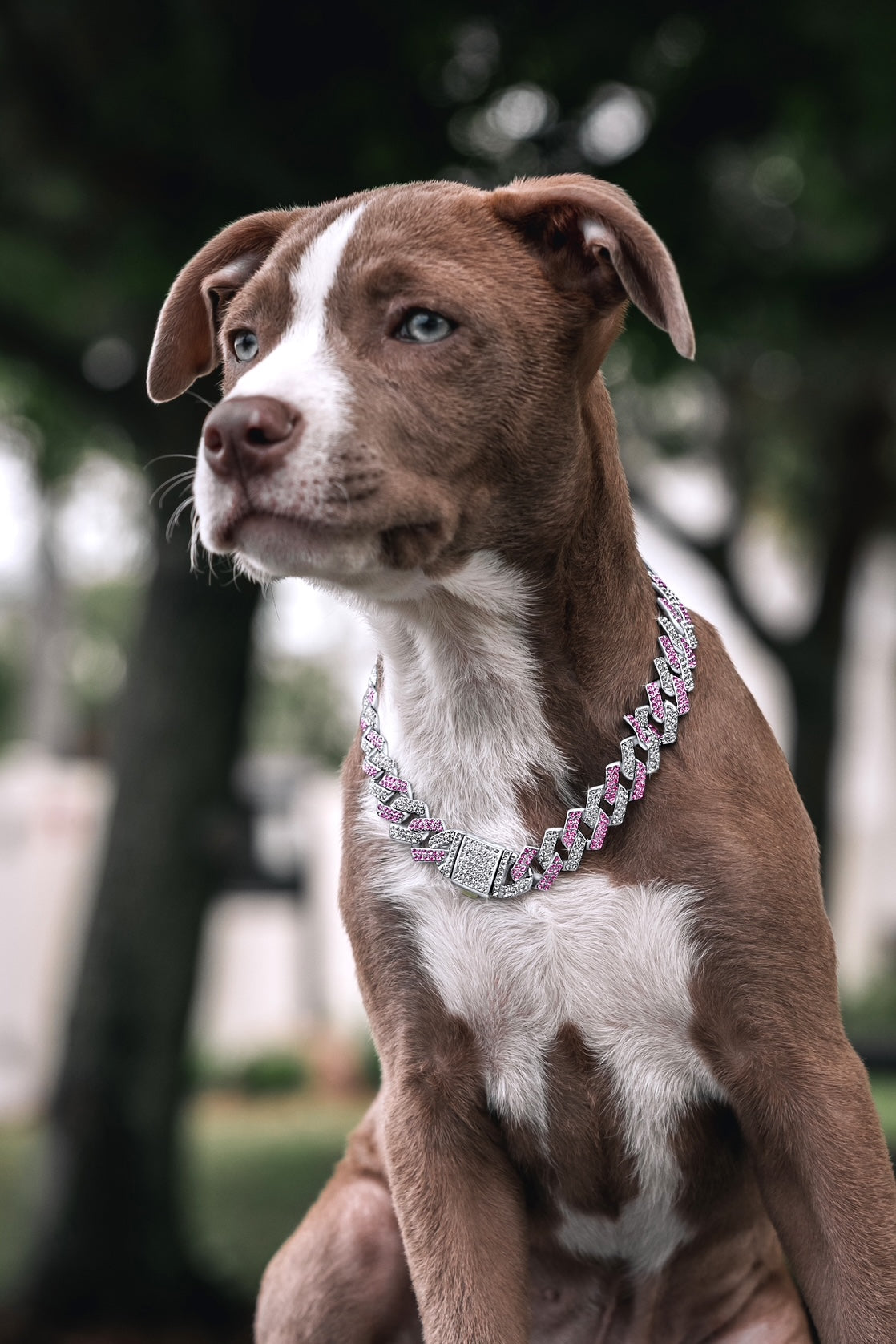 Petite Pink & Silver Chain