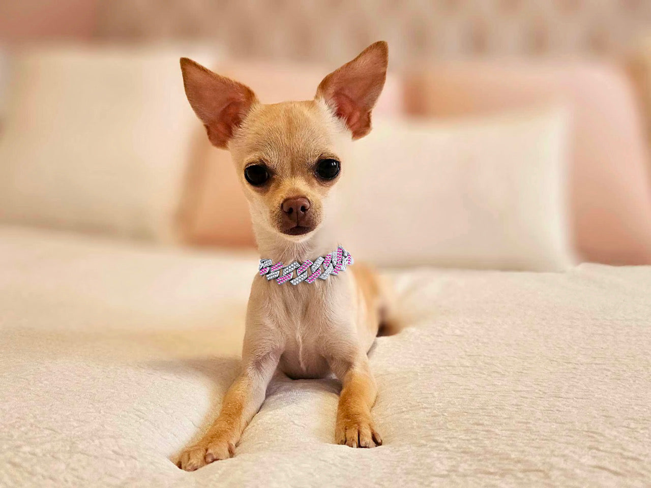 Petite Pink & Silver Chain