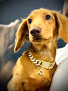 Gold Small Collar