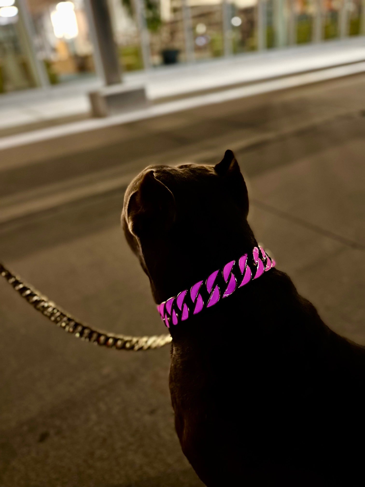 Gold Pink Glow Collar