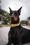 Gold Bone Link Collar