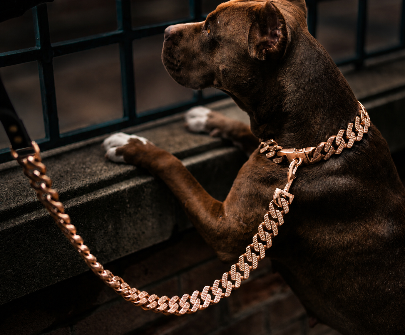 Miami Rose Gold Leash