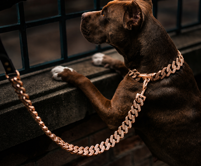 Miami Rose Gold Leash