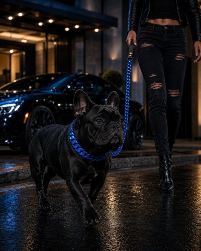 Royal Blue Solid Collar