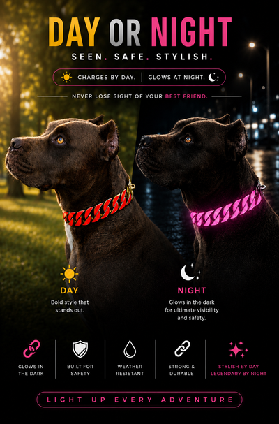 Gold Pink Glow Collar