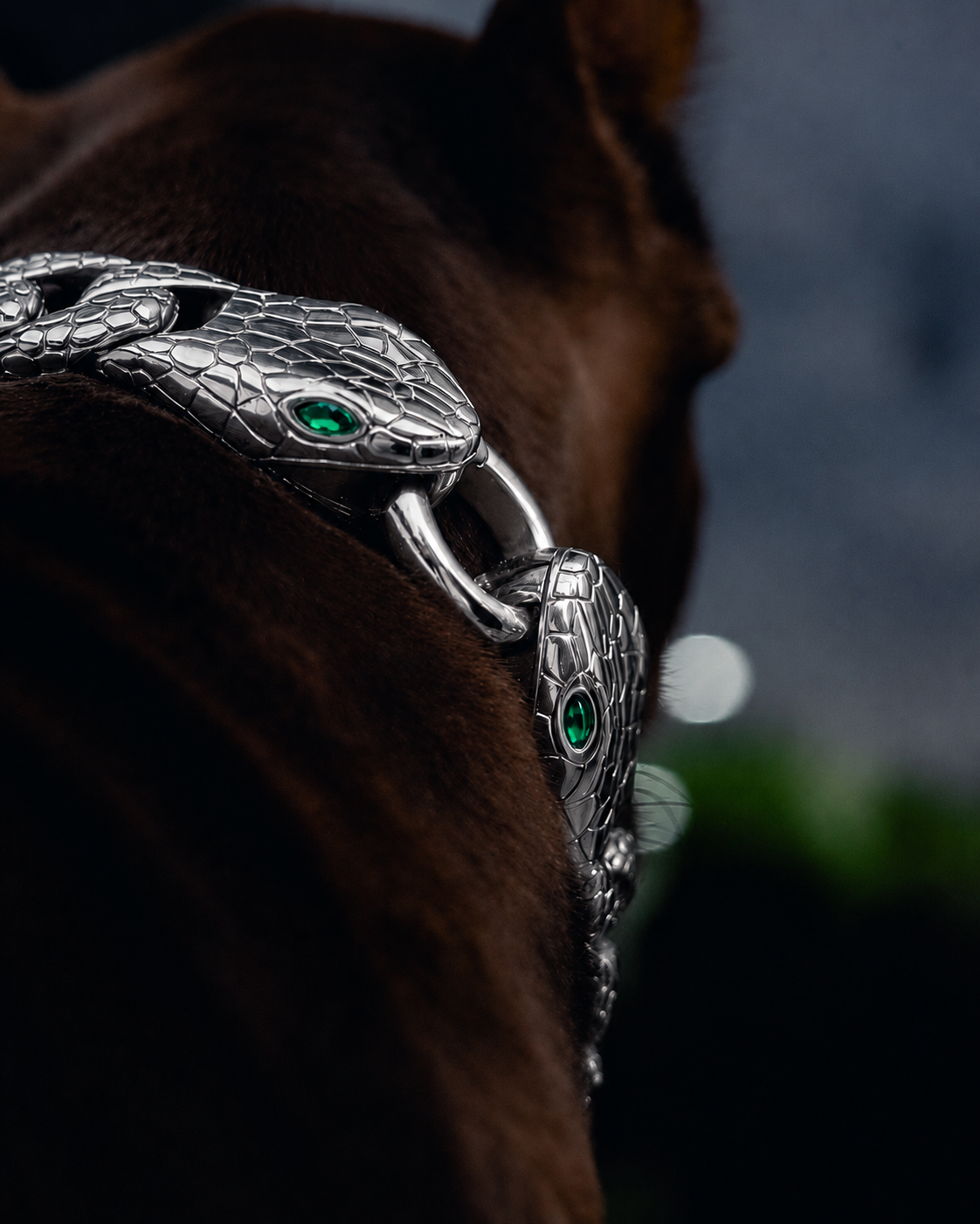 Silver Snake Chain