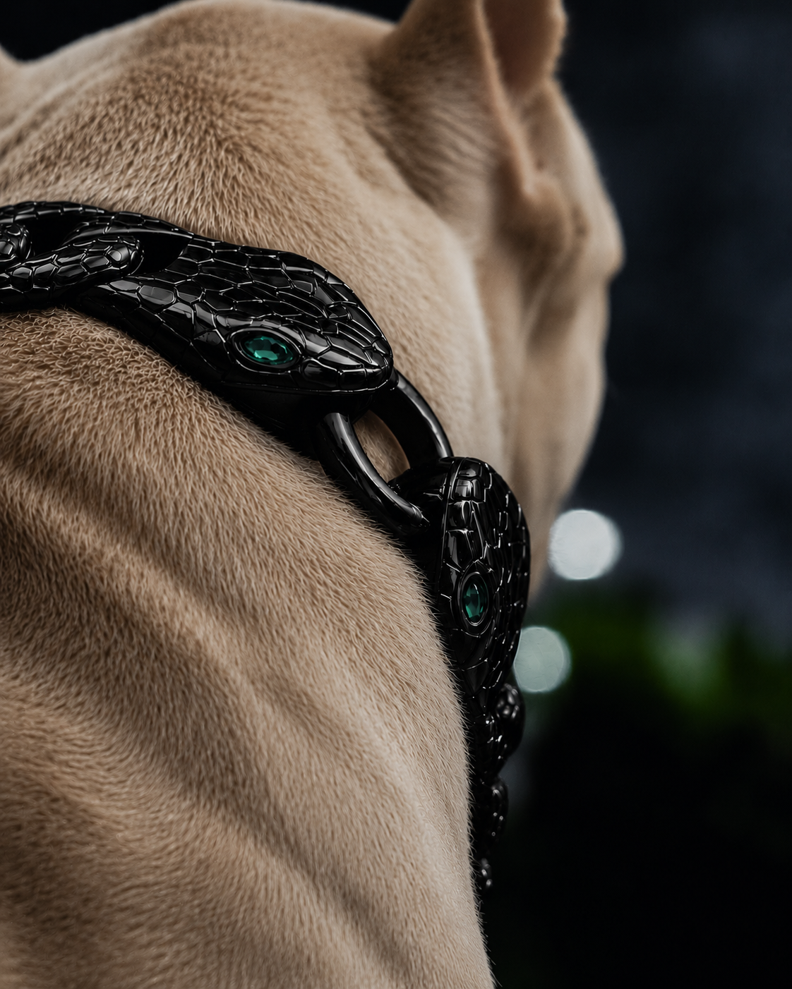 Black Snake Chain