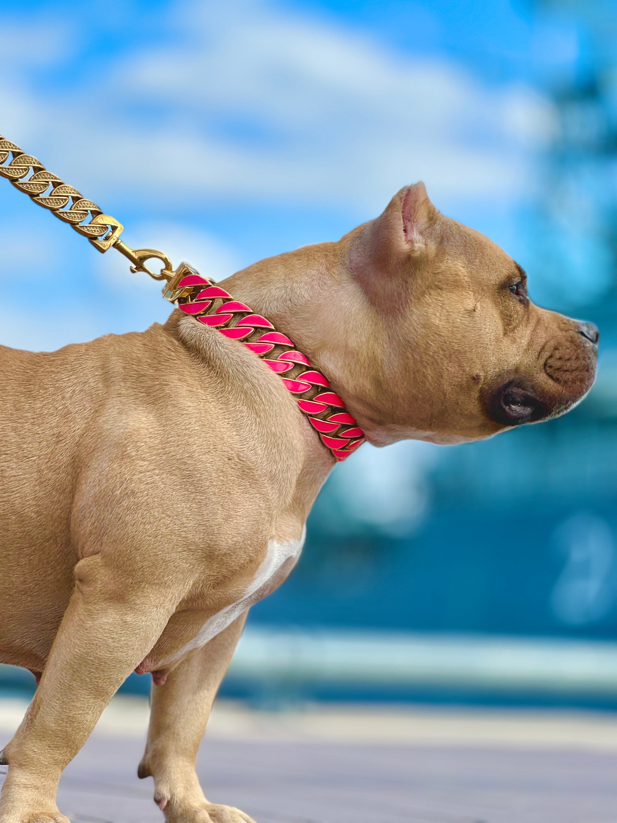 Gold Pink Glow Collar