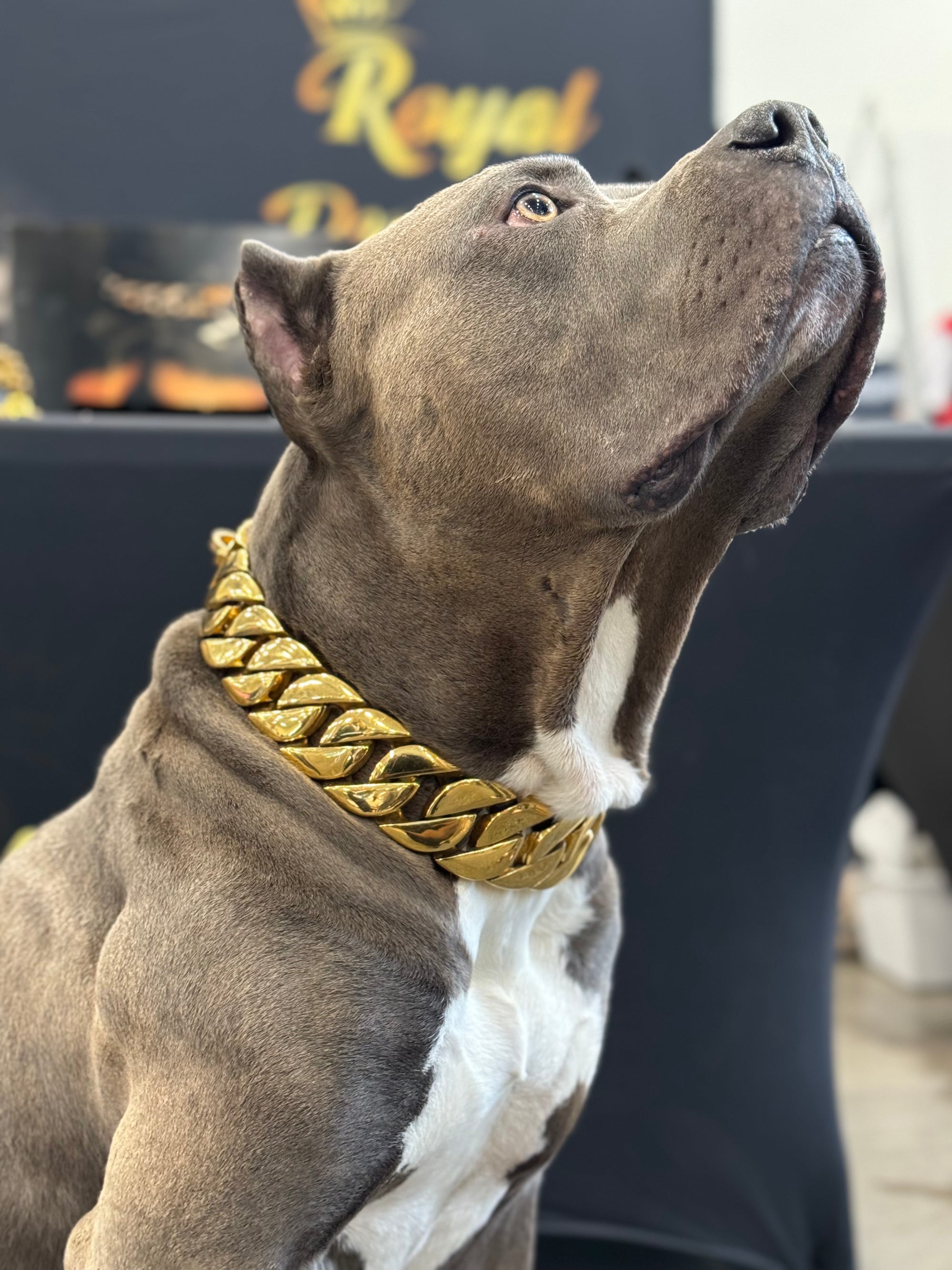 Gold Cuban Collar