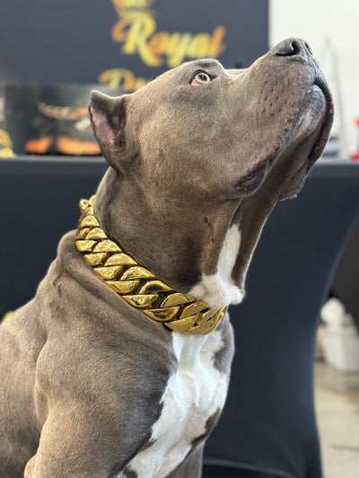 Gold Cuban Collar