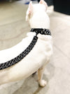 Black Studded Collar