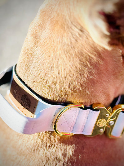 1.5" -Luxury Tactical Collar- Gold Hardwear