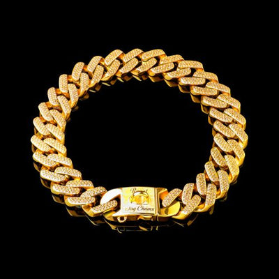 Gold Studded Miami Link Collar