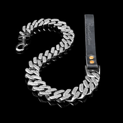 Miami Silver Leash
