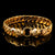 Gold Bully Studded Collar