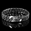 Silver Shine Collar