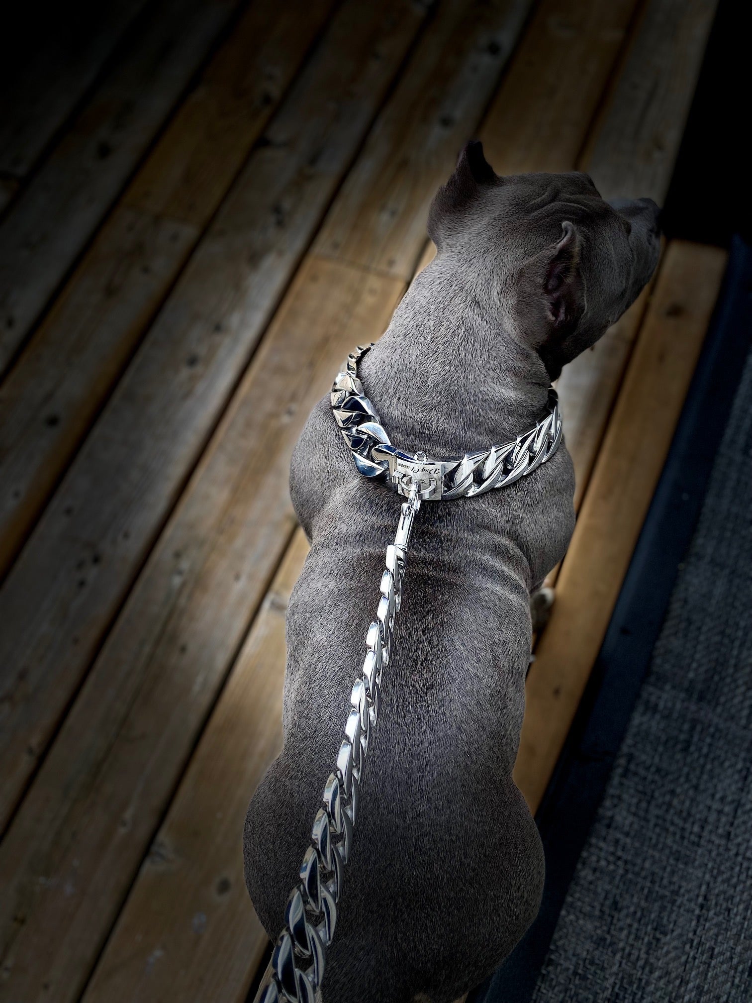 Silver Classic Collar