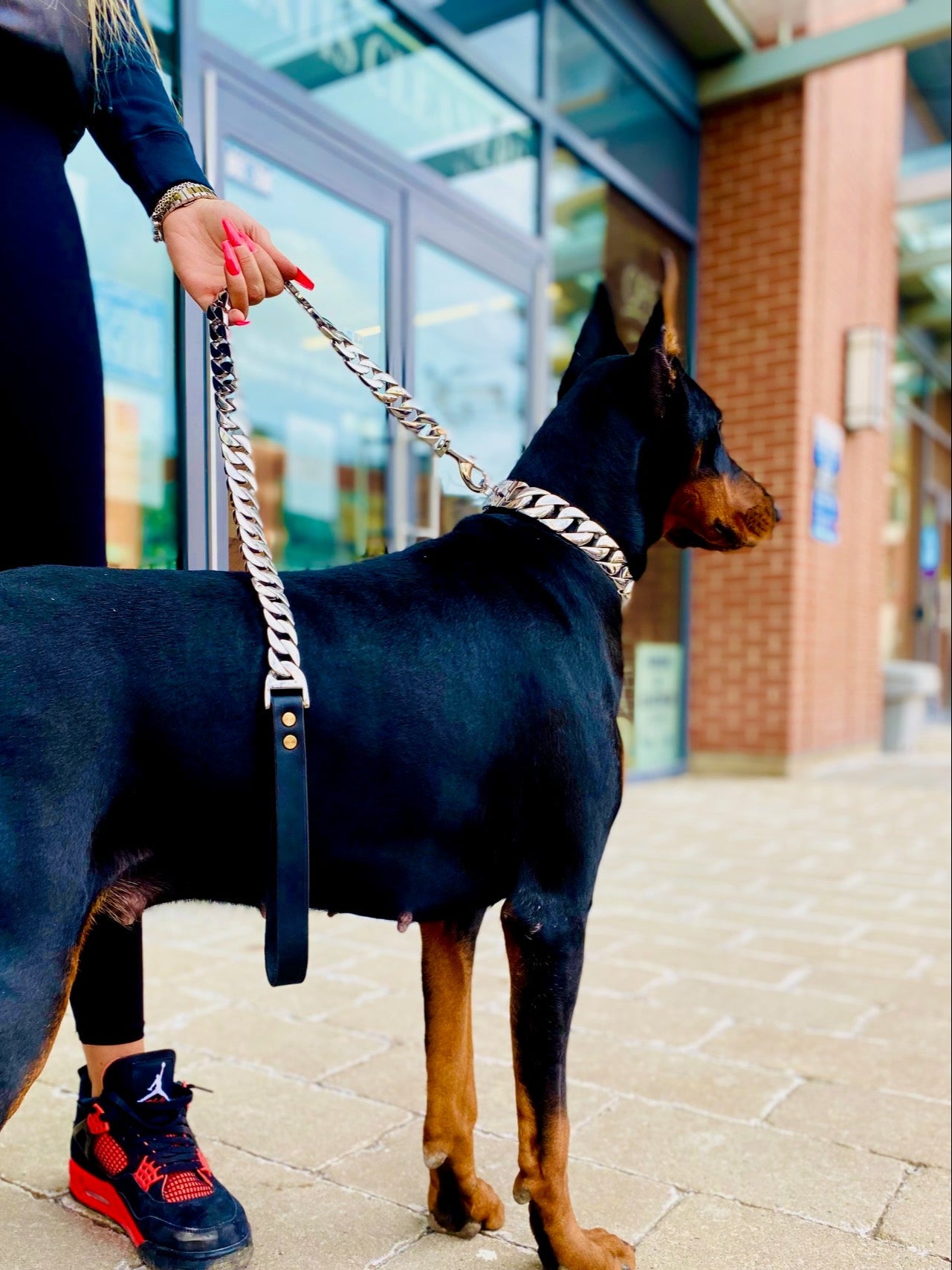 Silver Classic Collar