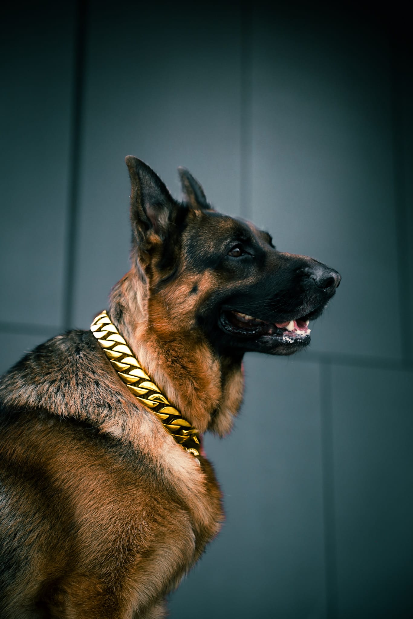Gold Classic Cuban link Collar