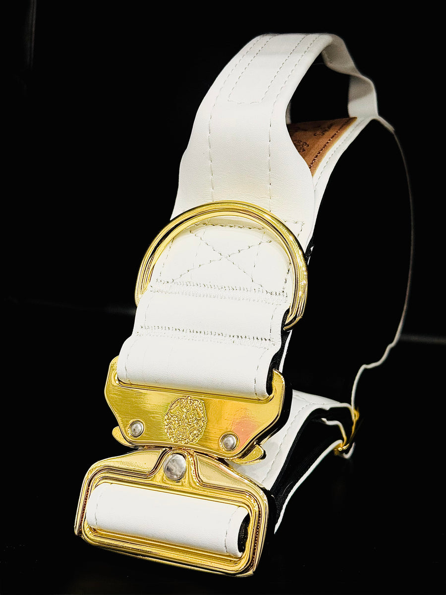 1.5" -Luxury Tactical Collar- Gold Hardwear