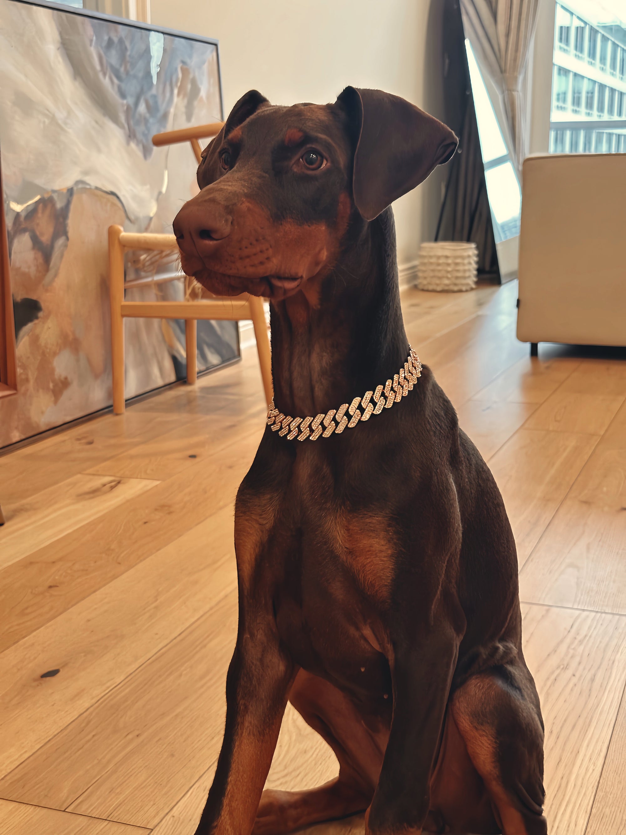 Rose Gold Small Collar
